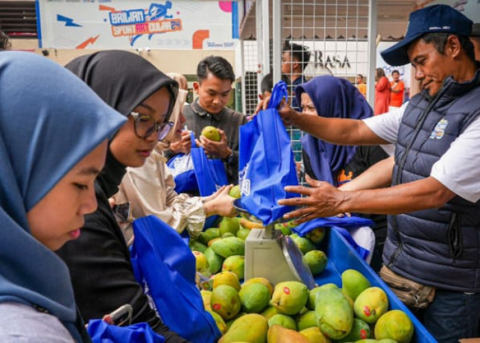 Diberdayakan BRI, Petani Mangga Bondowoso Mampu Perluas Lahan dan Tingkatkan Taraf Hidup