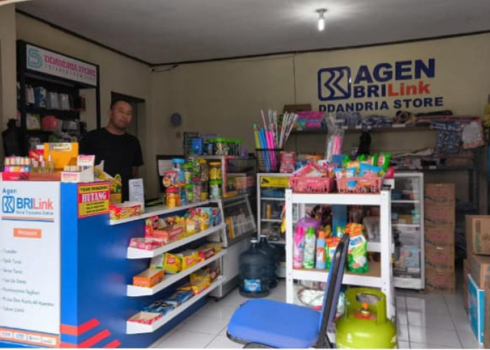 Cara Simpel Miliki Pendapatan Tambahan, Ini Solusi Terbaik dari BRILink