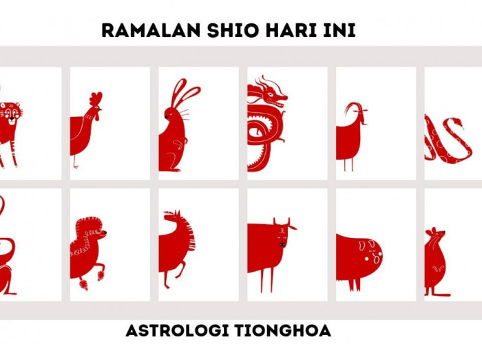 Ramalan Shio 11 November 2023: Shio Ayam, Shio Monyet, Shio Kambing, Shio Kuda, Shio Kelinci, dan Shio Naga