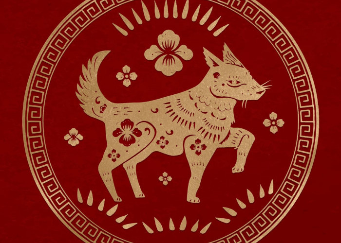 Ramalan Shio Naga, Shio Ayam, Shio Monyet, Shio Ular, Shio Kelinci dalam Astrologi Tionghoa 24 November 2023