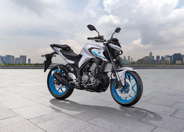 Kelebihan dan Kekurangan Yamaha MT 25, Naked Sport Premium yang Nyaman dan Bertenaga