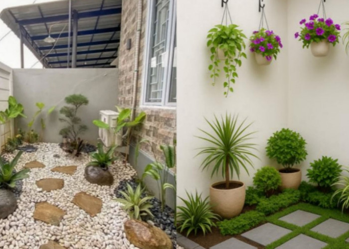 10 Ide Kreatif Menata Taman Kecil Minimalis di Rumah