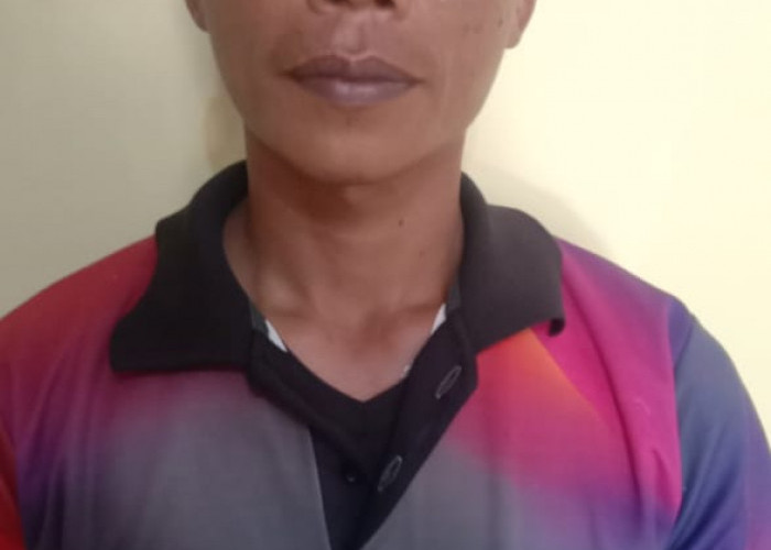 Kesal Tetangga Hidupkan Gergaji Mesin, Pranoto Tusuk Hanafiah