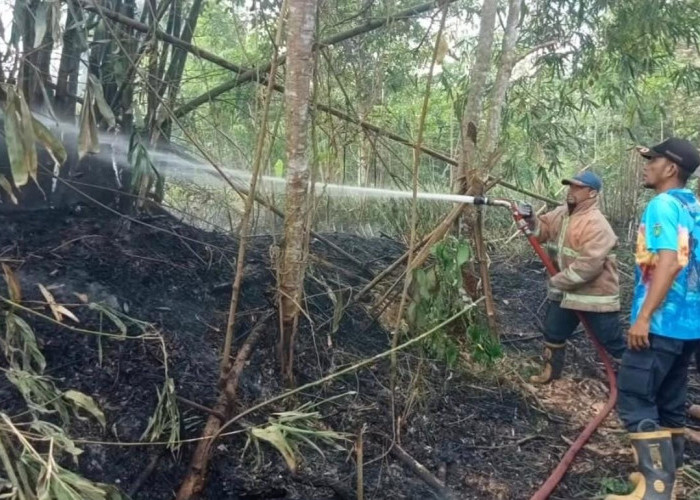 Hotspot Muncul di Prabumulih, BPBD Sumsel Temukan 58 Hotspot hingga 10 Juli 2026
