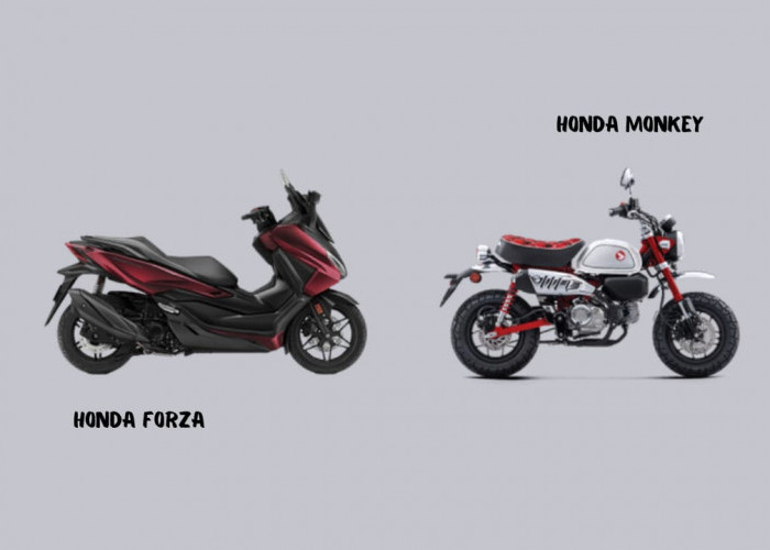 Motor Matic Honda Forza Jadi Pesaing Motor Sport Honda Monkey, Ini Speknya