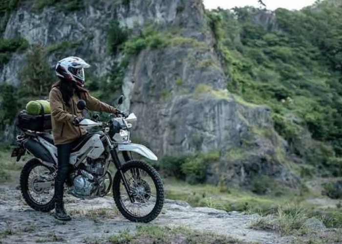 Kawasaki KLX230 Sherpa S ABS vs Honda CRF300L dan Yamaha TW200, Lebih Pilih Motor Adventure Mana