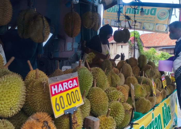 Durian Bengkulu Mulai Serbu Prabumulih, Harga Dibanderol Mulai Rp10 Ribu per Buah