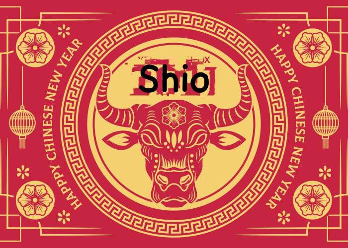 Ramalan Shio Ular, Shio Kuda, Shio Naga, Shio Monyet, Shio Tikus Hari Ini 13 Januari 2024