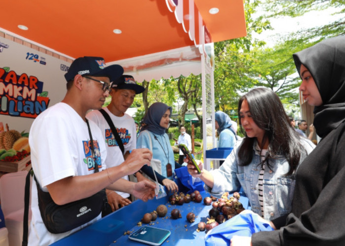 Program Pemberdayaan BRI dorong Klaster Usaha Manggis di Bali Perluas Jaringan Pemasaran 