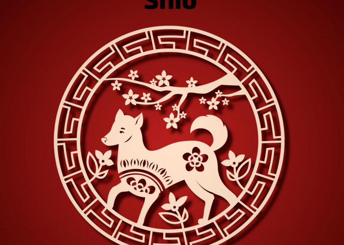 Ramalan Shio Kelinci, Shio Ayam, Shio Ular, Shio Macan, Shio Naga Hari Ini 25 Januari 2024