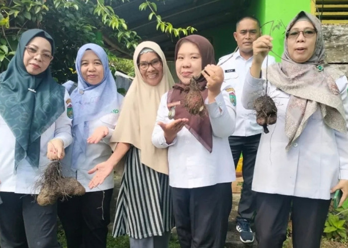 KWT Karang Raja Kembali Aktif, Dorong Ketahanan Pangan dari Pekarangan Rumah