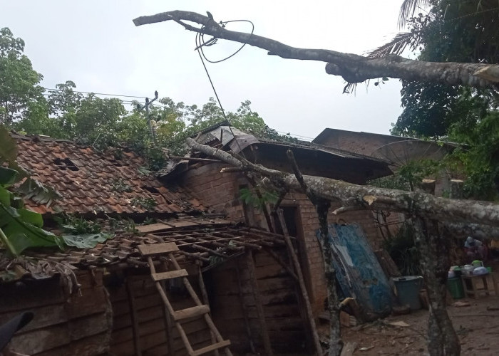 Puting Beliung Ngamuk, Rumah Warga di Desa Talang Batu Prabumulih Tertimpa Pohon 