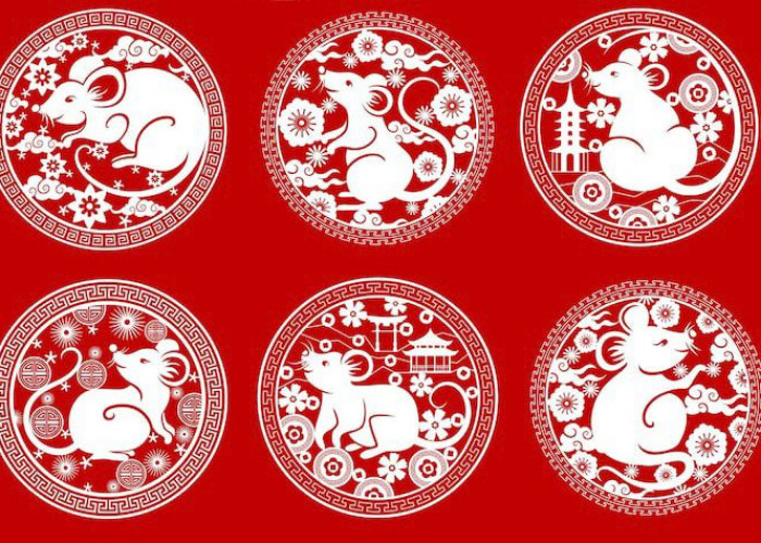 Ramalan Shio 17 Desember 2025, Naga Hari Ini Anda Bisa Menjadi Versi Terbaikmu