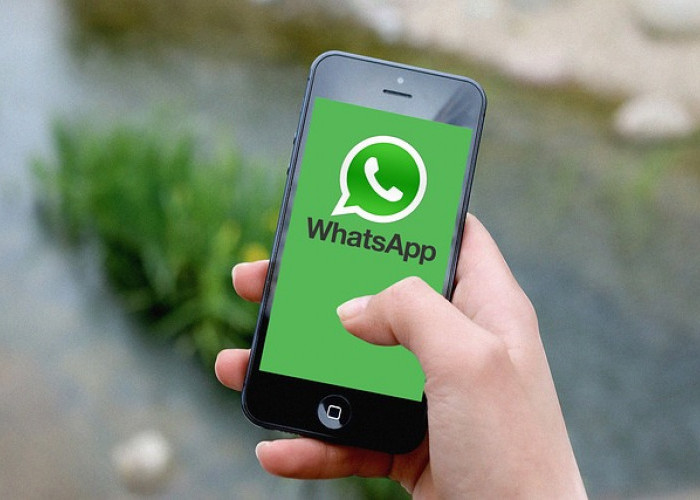 Fitur Baru WhatsApp! Pilih Peserta Panggilan Grup dan Efek Video Menarik untuk Liburan