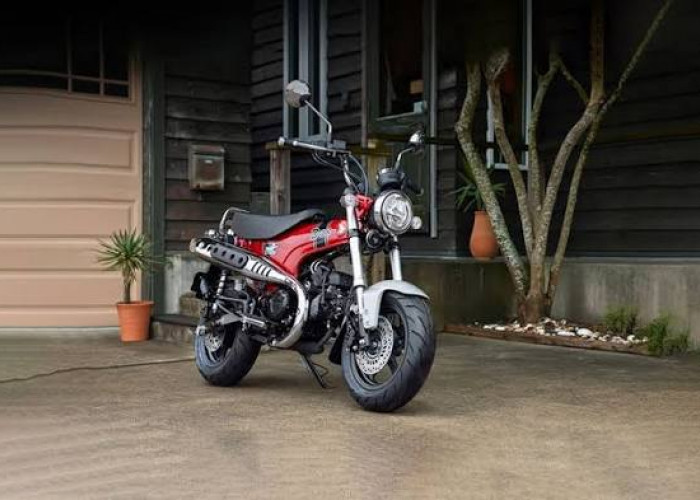 Kelebihan dan Kekurangan Honda ST125 Dax, Desain Unik dengan Segala Keunggulann