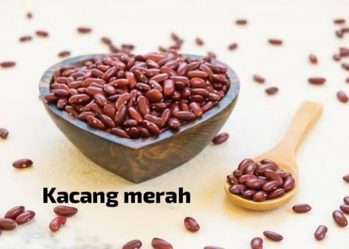 Tinggi Akan Serat, Kacang Merah Jadi Salah Satu Makanan Sehat Untuk Jantung?