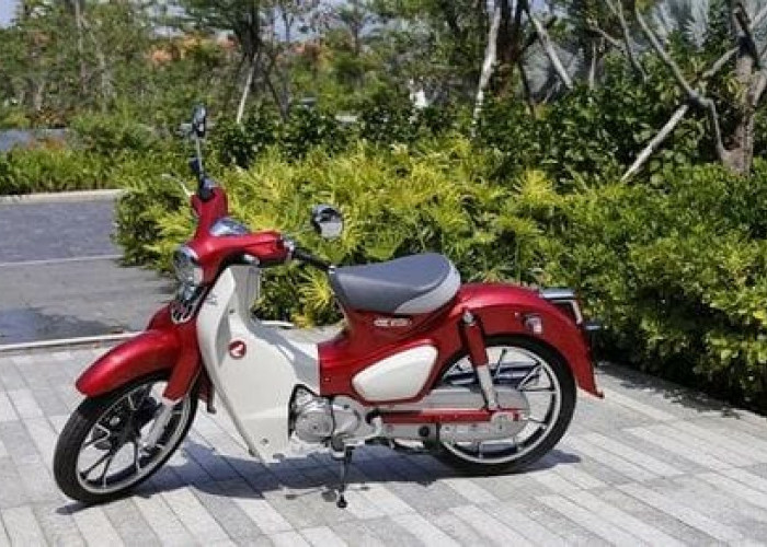 Honda Super Cub C125 vs Honda CT125 dan Honda ST125 Dax, Mana yang Lebih Menarik Perhatian Kamu?