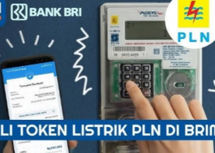 Solusi Cerdas Ibu Rumah Tangga: Beli Token Listrik Praktis dengan BRImo