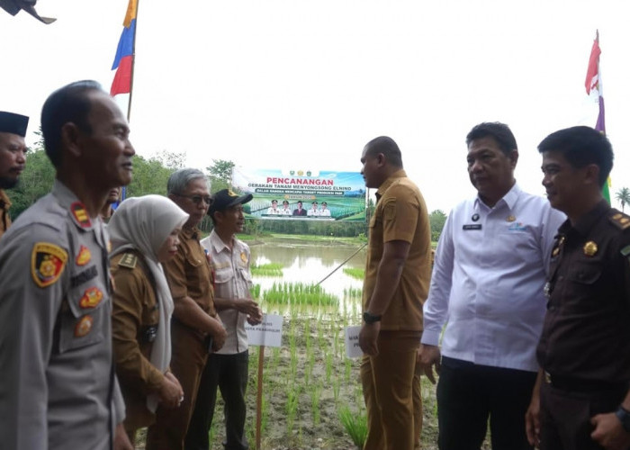 Prabumulih Gerak Cepat Hadapi El Nino 2026, Tanam Padi Jadi Strategi Utama