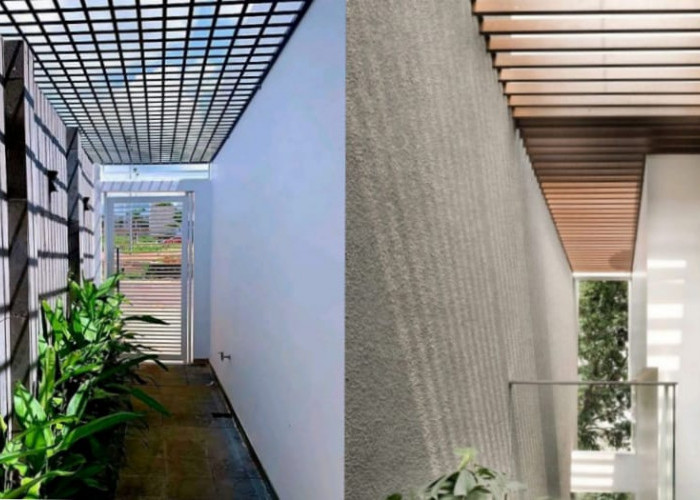 Lorong Samping Rumah yang Stylish: Ide Vertical Garden dan Taman Minimalis
