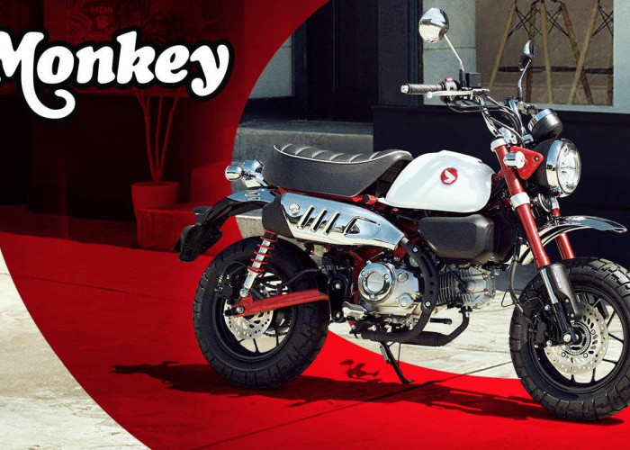 Waktunya Coba Gaya Baru, Honda Monkey Jadi Primadona dengan Banyak Keunggulan