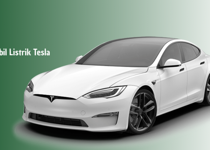 Bocor! Tesla Siapkan Dua Mobil Listrik Murah, Harga Mulai Rp600 Jutaan