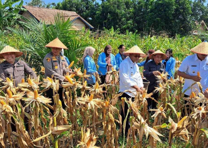 Sat Binmas Turun ke Warga, Dorong Kemandirian Pangan Masyarakat Prabumulih
