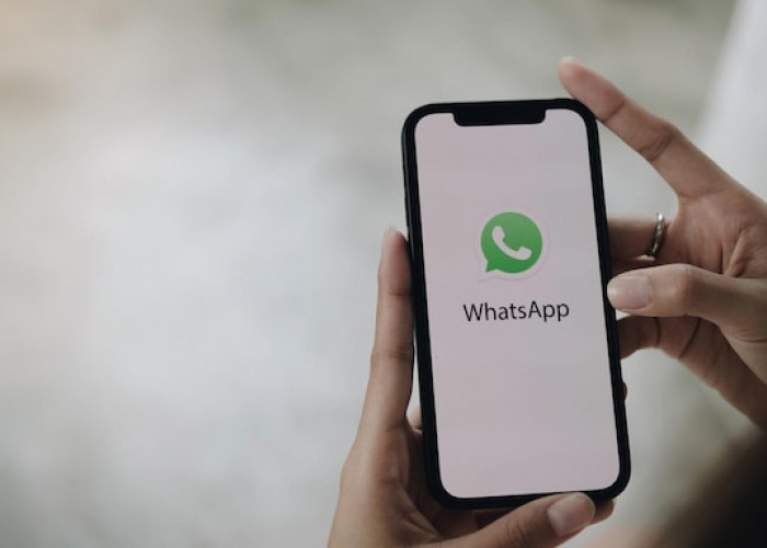 Fitur Share Location WhatsApp, Tips dan Trik untuk Berbagi Lokasi Secara Real-Time