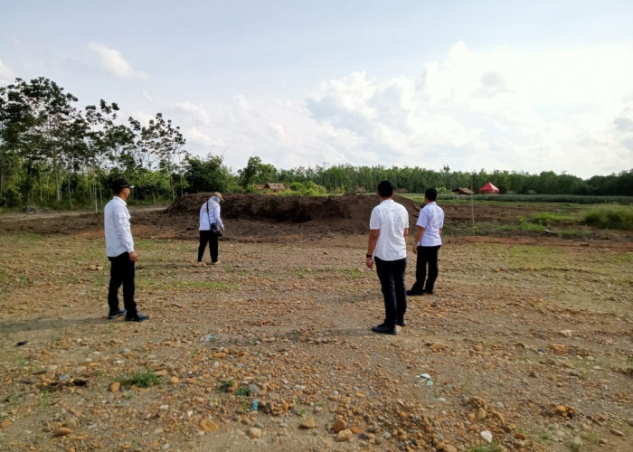 Wamentan Bakal Tinjau Budidaya Nanas di Kelurahan Karang Jaya
