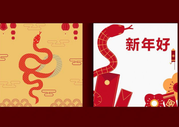 Ramalan Shio Terbaru 4 Juli 2025, Macan Hari Ini Kamu Akan Mengalami Hari yang Hebat