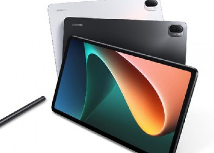 Xiaomi Pad 5: Tablet Murah dengan Performa Andal untuk Desainer Grafis