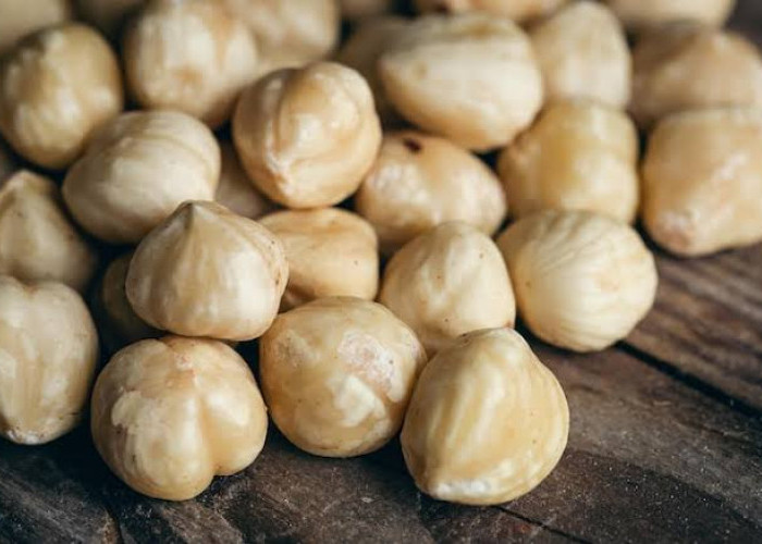 Miliki Beragam Khasiat Untuk Kesehatan, Ini 4 Manfaat Kemiri