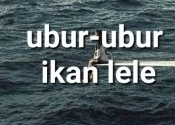 Viral! Ini Cara Membuat Pantun Ubur-Ubur Ikan Lele yang Bikin Baper