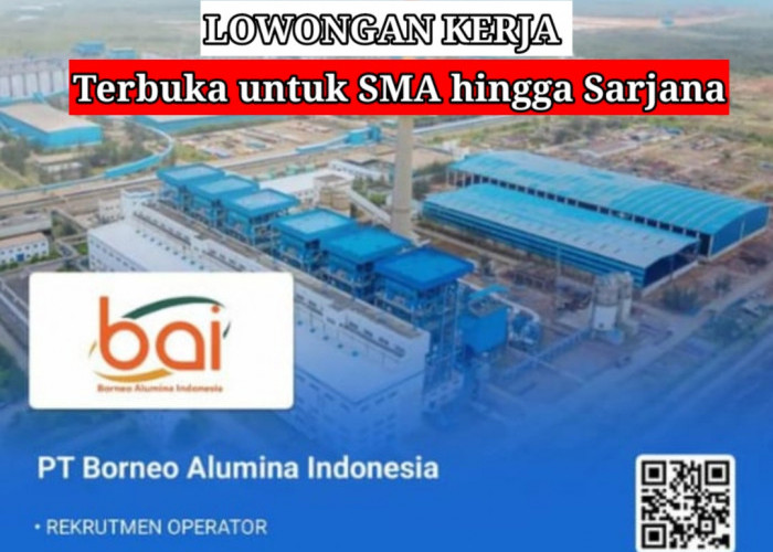 PT Borneo Alumina Indonesia Buka Lowongan Kerja Posisi Operator dan Manajer, SMA Sarjana bisa Daftar!