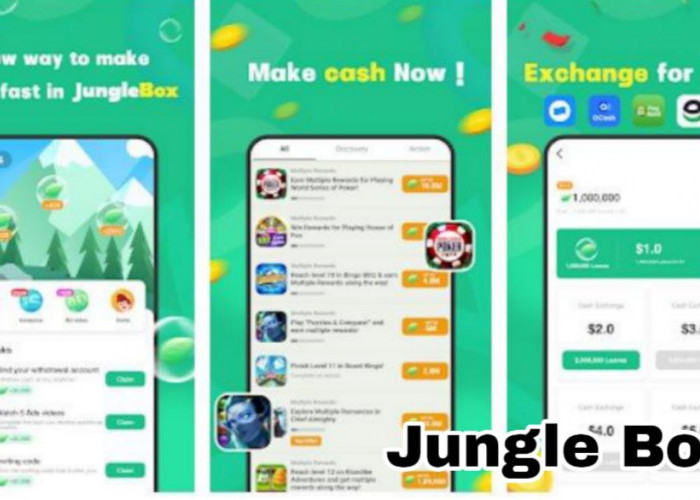 Main Sambil Cuan! Temukan Keseruan di Aplikasi Jungle Box