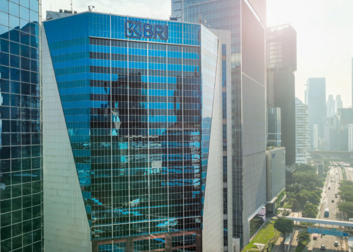 PPATK Blokir Rekening Pasif, BRI Buka Suara