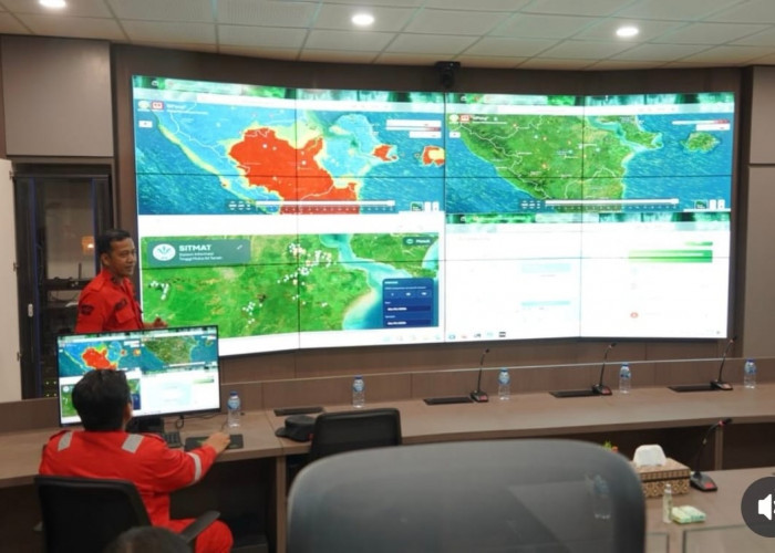 Darurat Karhutla! BPBD Sumsel Temukan 88 Hotspot, Muba dan OKI Paling Rawan