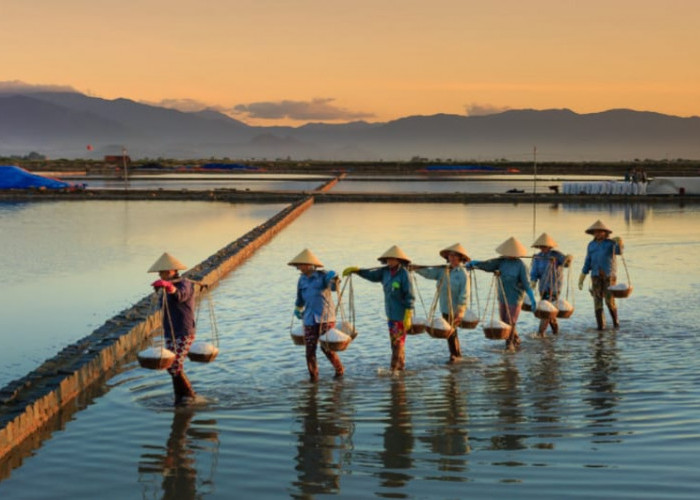 Dorong Sektor Produksi Bergeliat, BRI Salurkan KUR Rp69,8 triliun ke 8,3 Juta Debitur UMKM