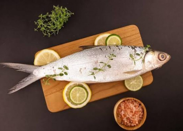 5 Jenis Ikan Lokal Pengganti Salmon, Bergizi Tinggi dan Lebih Ramah di Kantong