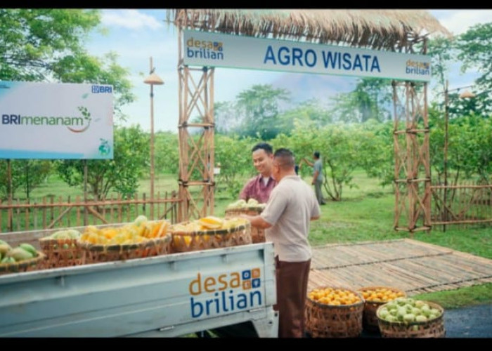 Lewat Program Desa BRILiaN, BRI Dorong Terwujudnya Desa Wisata sebagai Destinasi Unggulan Daerah