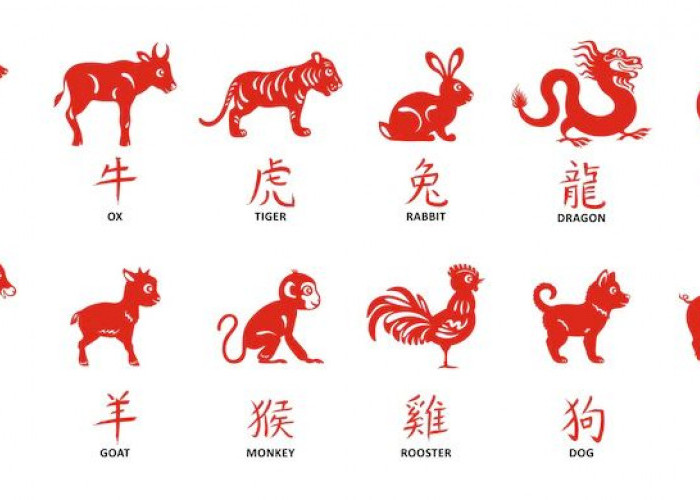 Ramalan Shio Ayam, Shio Monyet, Shio Kambing, Shio Kuda, Shio Ular Hari Ini 24 Mei 2025