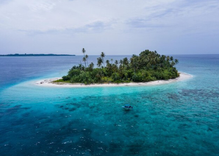 Pesona Pulau Palau, Dari Keindahan Laut hingga Budaya yang Memikat