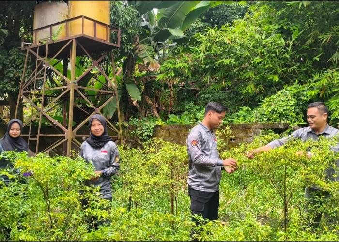 Halaman Kantor Jadi Ladang Produktif: Polres Prabumulih Panen Cabai & Kacang Panjang