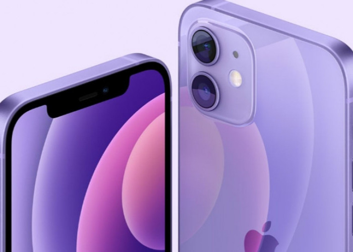 Harga dan Spesifikasi iPhone 12 Pro Max Bekas, Apakah Masih Worth It?