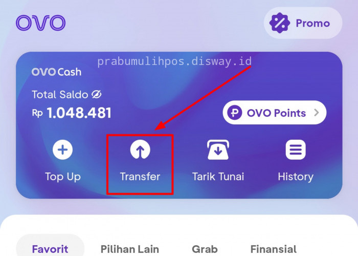 MUDAH! Begini Cara Transfer Saldo ke Sesama Pengguna OVO