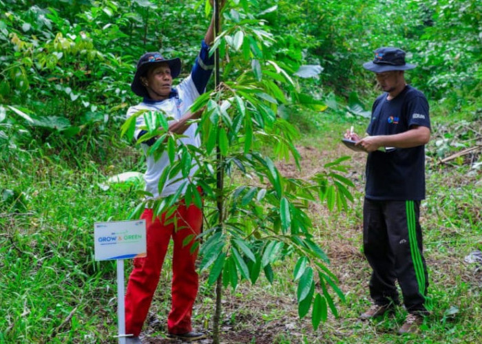 Peringati Hari Lingkungan Hidup Sedunia, BRI Pertegas Komitmen dalam Menjaga Ekosistem Lingkungan melalui BRI 