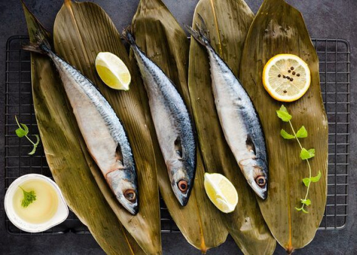 Manfaat Ikan Sarden Untuk Kesehatan Tubuh, Membantu Meningkatkan Kesehatan Mata 