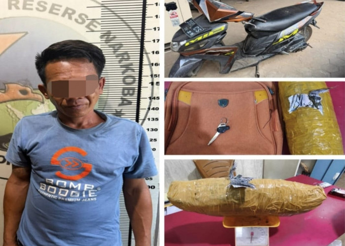 Satresnarkoba Polres Prabumulih Gagalkan Peredaran 1 Kg Ganja, Satu Pelaku Ditangkap