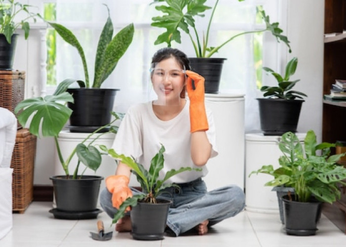 Jangan Asal Beli! Ini 7 Tips Memilih Tanaman Hias Unik agar Tak Salah Pilih