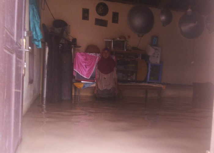 Luapan Sungai Lematang, Ratusan Rumah di Kelurahan Payuputat Terendam Banjir 